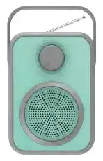 Polaroid PBT9550 Bluetooth Speaker User Manual - Manualsnap