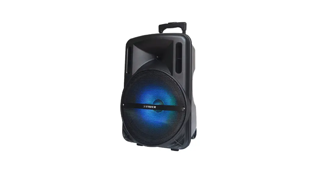 FISHER FBX1548SM 15 Inch Portable DJ Speaker User Guide - Manualsnap