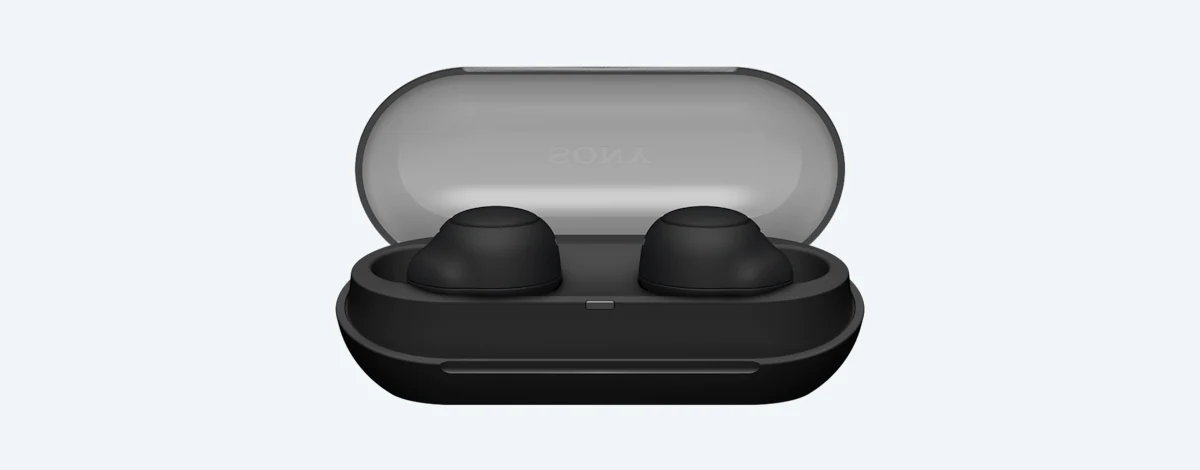 SONY WF-C500 True Wireless In-Ear Headphones Instruction Manual - Manualsnap