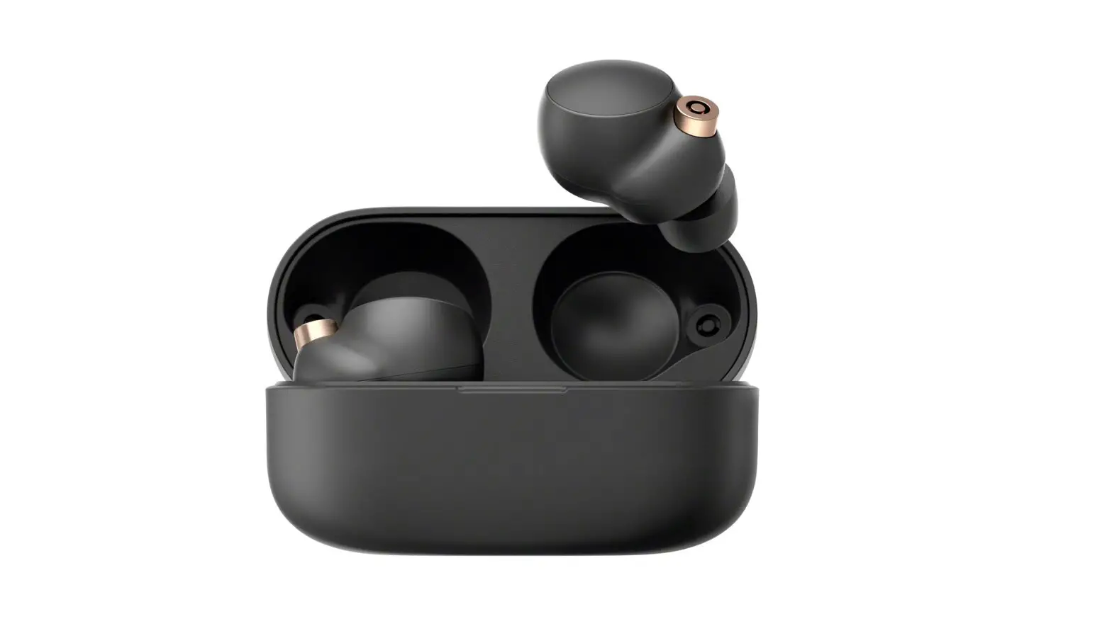 SONY WF-1000XM4 True Wireless Earbuds Owner's Manual - Manualsnap